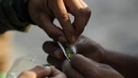 17-year-old student arrested on suspicion of drug trafficking near a school in Marinha Grande