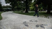Lisbon City Council acknowledges “permanent” risk of extinction for the profession of stone paver