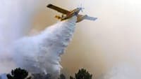 Major fire in Proença-a-Nova enters resolution phase