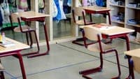 School assistants protest in Sintra: union denounces they are administering insulin and tube feeding without training