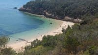 "They are not for sale to serve a handful of millionaires": BE denounces attempt to "privatise" five beaches in Setúbal