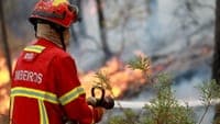 Minor under 16 arrested on suspicion of starting fire that threatened homes in Covilhã