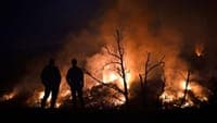 Two fires in Proença-a-Nova now mobilise more than 800 firefighters
