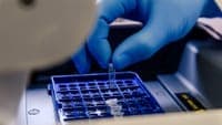 Artificial Intelligence creates functional viruses targeted at specific bacteria, but experts warn of the risks