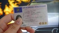 Penalty point system has already revoked the licences of over 4,000 drivers. Speeding remains the main issue