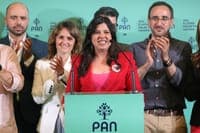 Constitutional Court invalidates the re-election of Inês de Sousa Real as leader of PAN