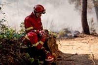 Fire in the municipality of Alijó declared under control. Two firefighters injured