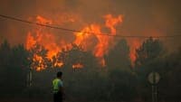 Suspect arrested for three forest fires in Sintra