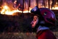 Fire in Monchique has been brought under control