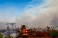 Firefighting resources reinforced with over 13,000 personnel and 78 aircraft now in the field
