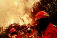 Flare-ups in Vouzela give firefighters no respite and dozens in restricted Gerês area worry authorities