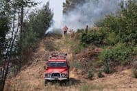 Fire set to forest in Amarante following disagreement with neighbours