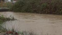 River Almonda bursts its banks and threatens roads in Ribatejo: "Reguengo de Alviela will become the island we're used to"