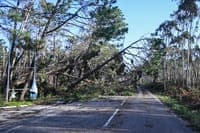 Leiria launches Estragos.pt platform for reporting damage