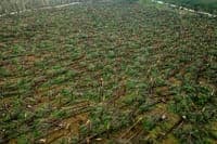 Storm Train Leaves a Trail of Destruction in Portugal