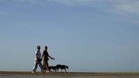 Anticyclonic ridge and low-pressure system: summer arrives with intense heat and Portugal will hit 42 degrees