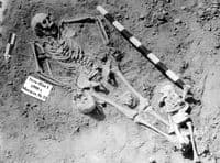 Oldest traces of plague reveal the disease's deadly impact 5,500 years ago