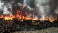 Number of personnel at the Santa Marta de Penaguião fire now exceeds 200