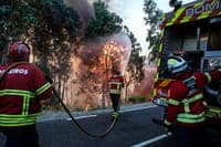 Maximum wildfire risk declared for 50 municipalities