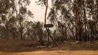 "Tonight will be worse". The five fires worrying Civil Protection