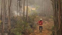More than 120 personnel fight fire in Gondomar