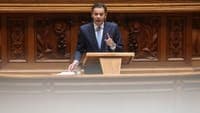Montenegro will not take a summer holiday and will be "coordinating Government activity"