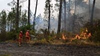 Around three thousand Portuguese reside in the area burning in Gironde, France