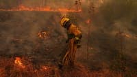 Wildfires: EU has already mobilised six aircraft for Spain and seven for France. Portugal sent 134 personnel and 41 vehicles