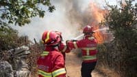 Fire in Carrazeda de Ansiães has a very large extension