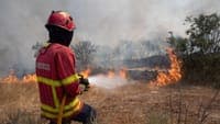 Fire in Chaves consumes warehouses, agricultural implements and kills animals