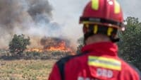 Four aerial assets and 169 firefighters battle fire in Lourinhã