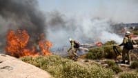Fire in Proença-a-Nova "burns with great intensity" and mobilises more than 400 personnel