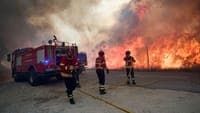 Fire in Chaves with active front being fought by nearly 200 personnel