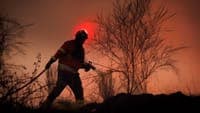 Fire that started in Valpaços has active fronts in the municipalities of Mirandela and Vinhais