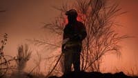 Arouca fire has already consumed 1,300 hectares. Nearly 600 personnel remain on the ground