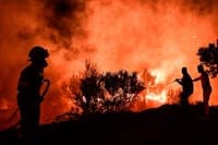 More than two hundred personnel fight fire in Boticas