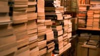 Freddie Mercury, Michael Jackson and Audrey Hepburn among the books arriving by the end of the year