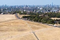 More than 50,000 people died in Europe this summer alone due to excessive heat