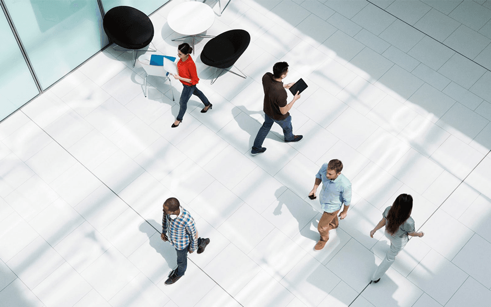 Portugal has the seventh highest employment rate in the EU for those aged 25 to 29