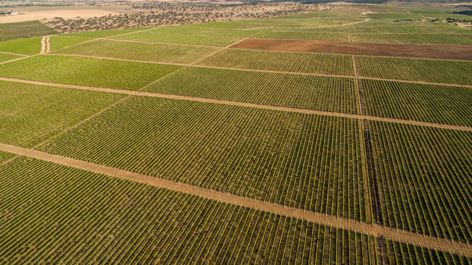 EU Court annuls Brussels' 2.9 million euro fine against Portugal regarding agricultural support management