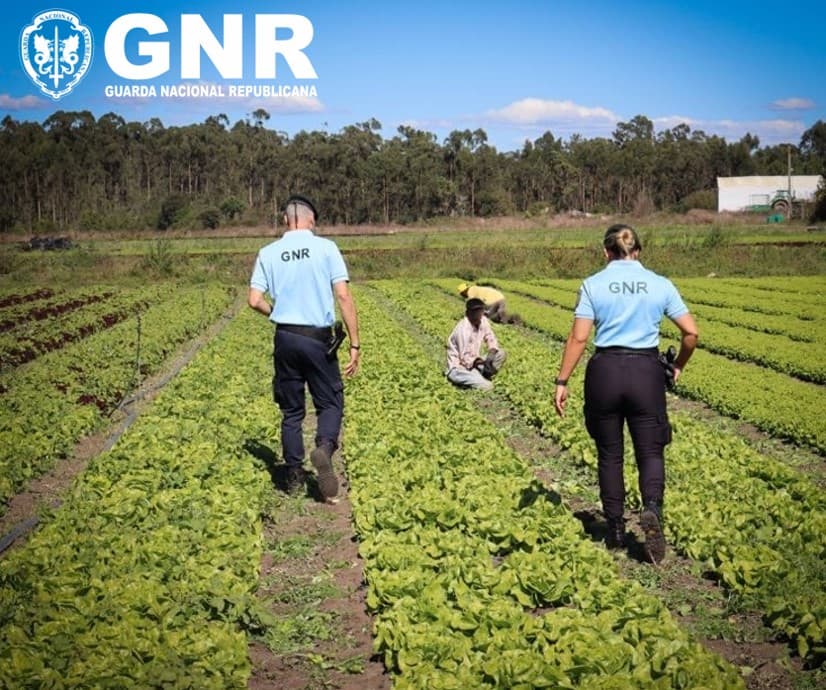 Mais de 130 detidos na primeira ação deste ano da operação ‘Portugal Sempre Seguro’
