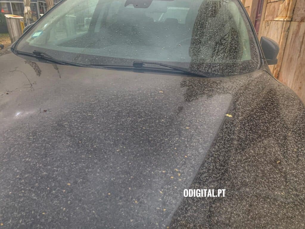 Dust from North Africa expected to return to Portugal this weekend: DGS recommends measures