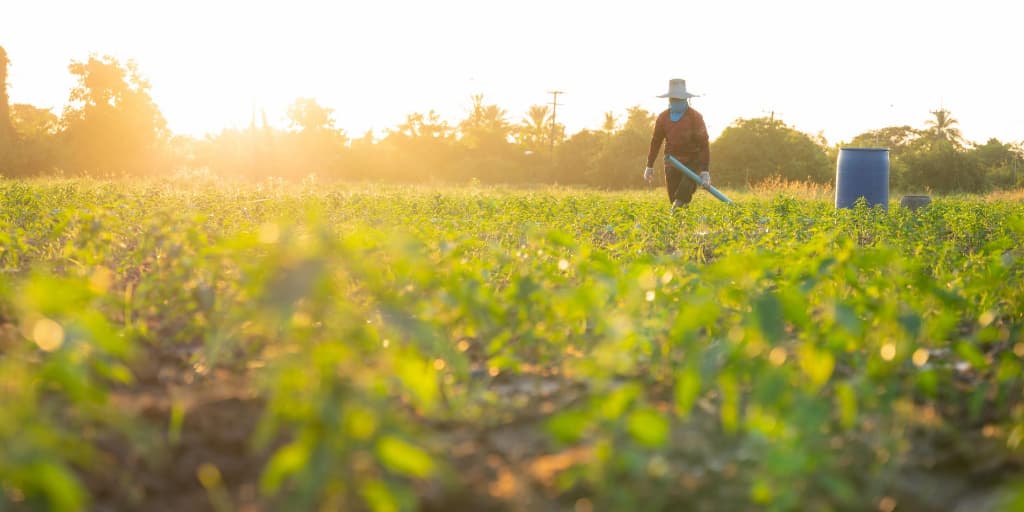 Migrants working in agriculture face higher risks of human trafficking in Portugal