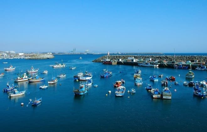 Sardine fishing to reopen this Monday, May 4th, with Portugal's quota reduced by 960 tonnes compared to last year