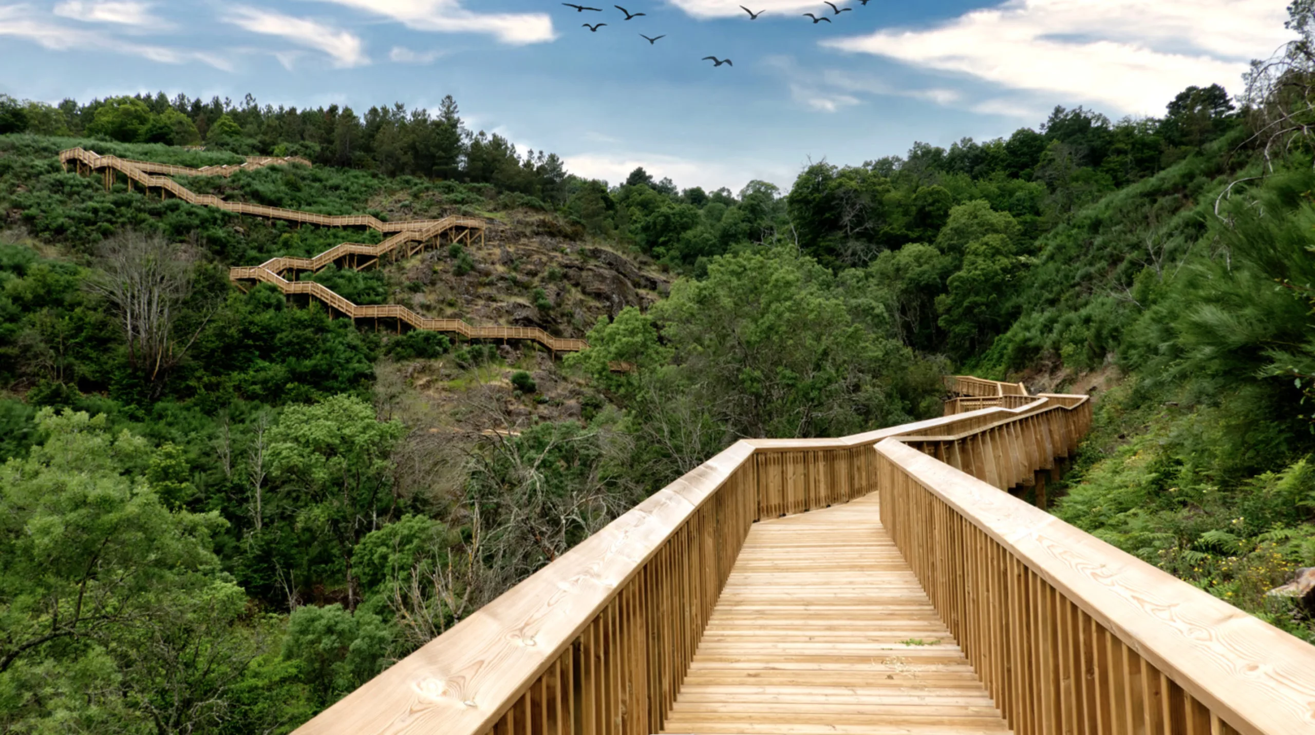 The 15 best walkways in Portugal: from the most famous to the most hidden