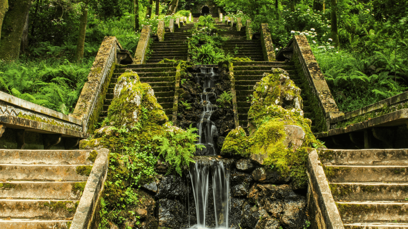 Portugal has just achieved a rare feat: the first Therapeutic Forest in the Iberian Peninsula is in Bussaco. And there are only 4 in the world.