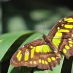 Zoomarine joins Iberian study into animal behaviour during solar eclipse