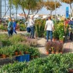 Autumn Mediterranean Garden Fair returns to Lagoa