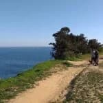 Volunteers invited to help clean coastal beauty spot in Portimão