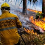 Human activity behind 76% of wildfires in Leiria district